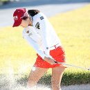 샤방샤방 이미지