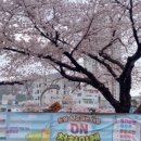 천천기원 이미지