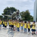 9월 12일 - 현장체험학습 (🌋서대문자연사박물관🌋) 이미지