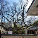 구천서당 이미지