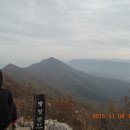 양고살재 주차장 화장실 이미지