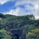 영주 | 소백산 준 스테이, 자연 속 조용한 영주 계곡펜션 후기