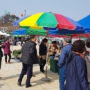 동구산공원 이미지