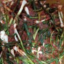 홍주대서 이미지