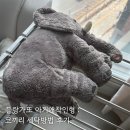 동원세탁 | 블랑가또 아기애착인형 : 코끼리 간단세탁방법 주의사항 꿀팁