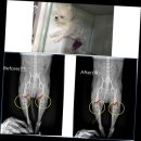 삼송동물병원 이미지