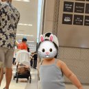 (주)바이브앤 이미지