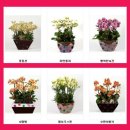 안성동인요양병원 이미지