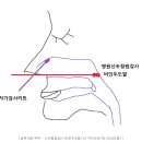 바이오이비인후과의원 이미지