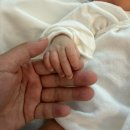 다온분식 - 서구 달서로 55 | 전북 남원 공공산후조리원 다온 2주동안 이용한 후기
