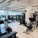 짐블랙 피트니스 이미지