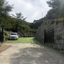 용인 애견운동장이 있는 별똥구리 장군이의 솔직 후기