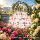 햇살 | 서울식물원 햇살정원 방문후기, 마곡 장미정원 산책 코스