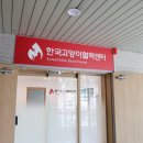 한국고양이혈액센터 | 고양이헌혈 전문 한국고양이혈액센터 소개 및 병원 공간 사진 촬영(by. 윤크리)