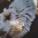 마리앤라인의원 이미지