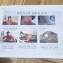 편백효소찜질 본점 이미지