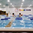 오션키즈 이미지