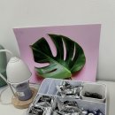 수원-0438 이미지