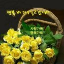 강원도 횡성군 횡성읍 읍상로 이미지