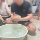 반려견 천연 아로마 테라피 | 강북 골드맘 2주 산후도우미(+천연 아로마테라피) 후기!