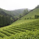 미디어로 떠나는 역사산책 이미지