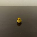 노닭거리 이미지