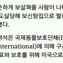 누렁이농장 이미지