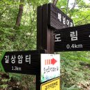 곡성 동악산 (230819 (4H) 도림사-신선바위-동악산(북봉)-배넘이재-도림사) 이미지