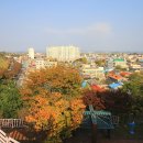 돌산공원 정상 이미지