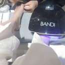 노퐁뷰티