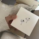 김주은미용실 | 벚꽃만 보다가 끝나도 후회없을걸.