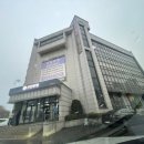 미스터 골든래쉬