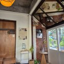 청양 | 제주도 시청 커피 맛집 청양커피로스터리 후기