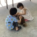 오께사세탁소 | [🇵🇭필리핀] 소소하지만 확실한 행복