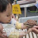 두꺼비농장 | 경남 창녕 아이와 갈만한 곳, 창녕 우포 곤충나라에서 곤충체험 후기