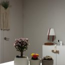 남사-3 | 용인 남사 화훼단지 에르베플라워아울렛 분갈이 후기