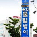 용현동물텀벙이거리 이미지