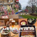 일루장어 | 겨울 도쿄 롯폰기 일루미네이션 여행 크리스마스마켓 도쿄 미드타운 츠지한 웨이팅 스카이라이너 나리타...