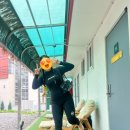 강릉여름여행 강릉서핑강습부터 바베큐파티까지 즐길 수 있는 더퍼니서프