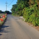 중산간동로 이미지