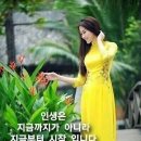 빨래하는날 이미지