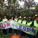 경상농장 이미지