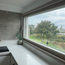 제주애월당귤 이미지