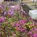 모산공원 이미지