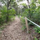 규식농장 이미지