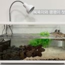 창원수족관투명한세상