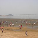 군자초교 이미지