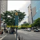 천수민물장어 네이버블로그