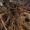 우슬농장 이미지