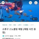 윤슬약국 - 경산시 성동로 2 | [대만 (2)] 가오슝으로 슝감